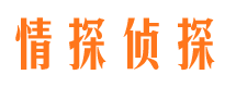 祁连找人公司